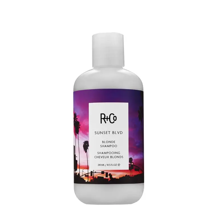 best vegan shampoos r+co sunset blvd daily blonde shampoo